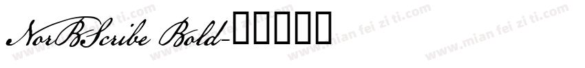 NorBScribe Bold字体转换